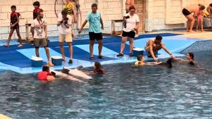 Плавание с дельфинами!!! Турция 🇹🇷-Алания, август 2023