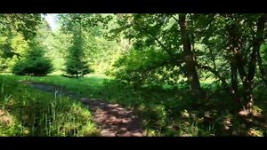 Я неверную встретил у входа. А. Блок (32). Любовная лирика XIX-XX вв. (204). Подмосковье (69).