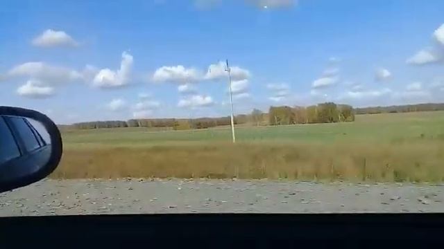 Едем за грибами смотреть онлайн