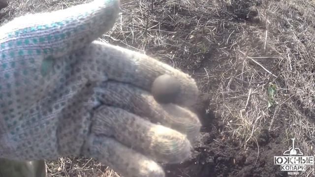 Грибокоп с Аленой смотреть онлайн