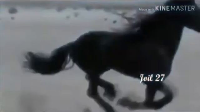 ПАЙ-ПАЙ Омир