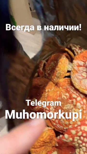 НЕ ПРОБУЙ МУХОМОРЫ 🍄 ПОКА НЕ ПОДПИШЕШЬСЯ НА ЭТОТ ТЕЛЕГРАМ КАНАЛ 🤝 HTTPS://T.ME/MUHOMORKUPI смотреть онлайн
