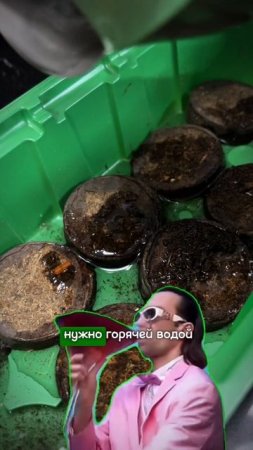 #shorts 3 ошибки выбора и использования торфяных таблеток #огород #сад #рассада #урожай #дача