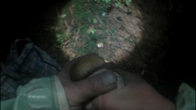 Білих Грибів 19 кг за 3 години всі по гриби,Белых Грибов 19 кг за 3 часа все по грибы смотреть онлайн