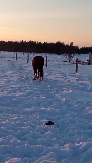 грустная правда,, смотреть онлайн