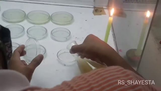 MICROBIOLOGISTS be like |   RS_SHAYESTA