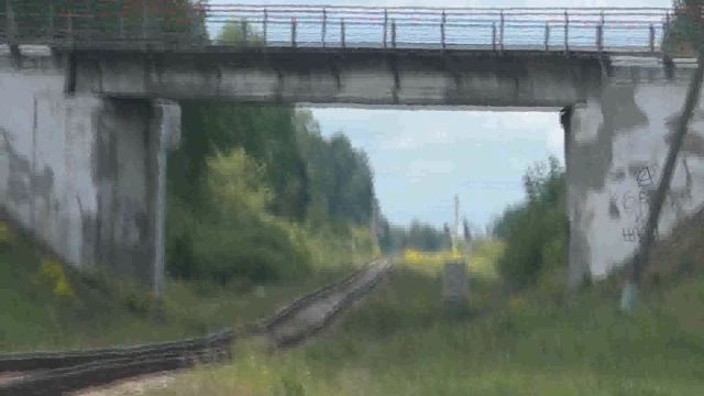 Гнездово. Брестский мост. Как нас с подругой Ниной проводница обманула.