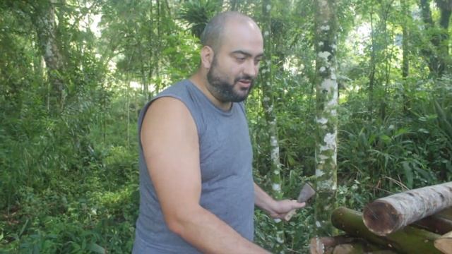 How to deal with Trichoderma when farming Shiitake Mushrooms on logs смотреть онлайн