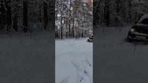 уаз патриот и нива по снегу