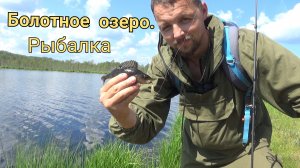 Рыбалка на болотном озере.