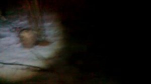 охота на барсука.mp4