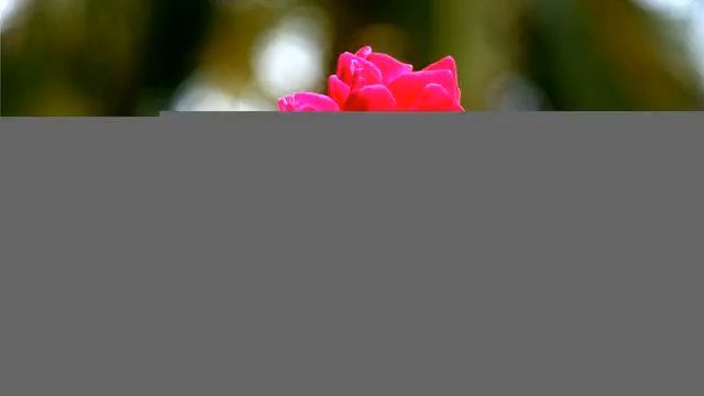 Радуга лучших русских хитов музыки о любви онлайн смотреть онлайн