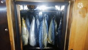 Копчение скумбрии