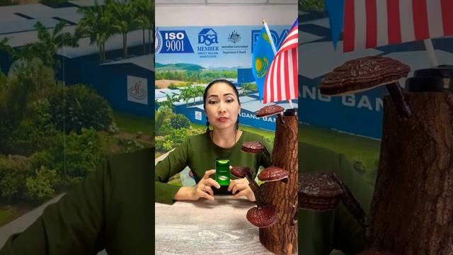 I Sakanno- сочетание корня Тонгат Али и Ганодермы Лусидум смотреть онлайн