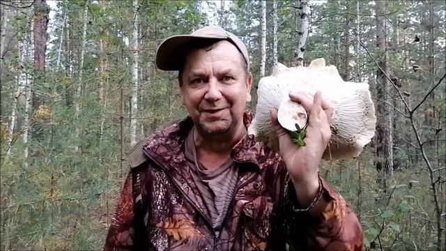 Супергруздь. 2020 смотреть онлайн