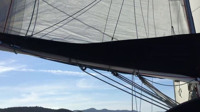 How we planned to make money to go sailing and finally casting the lines  EP 08