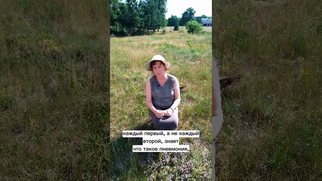 Это растение может всё! Борется с вирусами и кашлем, успокаивает, очищает кожу и волосы смотреть онлайн