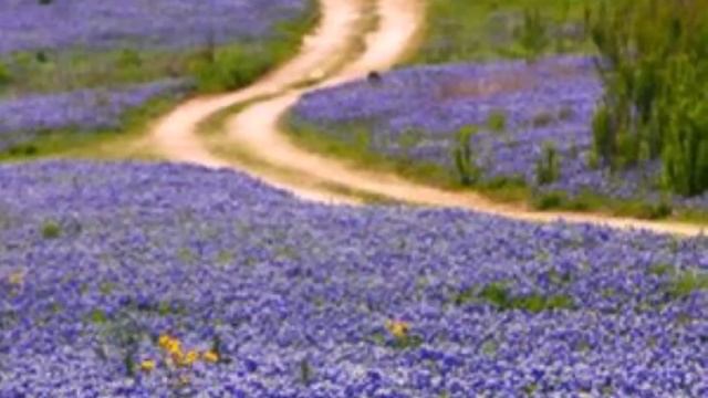 Люди, которые сердца пробуждают смотреть онлайн