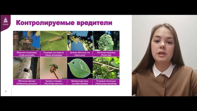 видеопрезентация о новом инсектициде для садов Корморане
