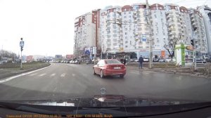 Овцы на дороге