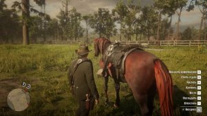 Нашёл самую первую лошадь Артура Моргана!!!!!!!