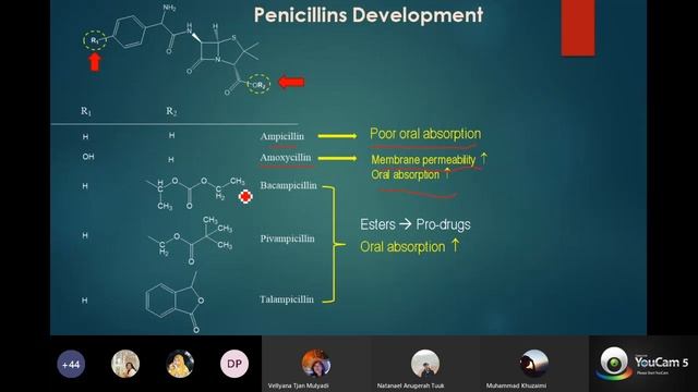QSAR antibiotik смотреть онлайн
