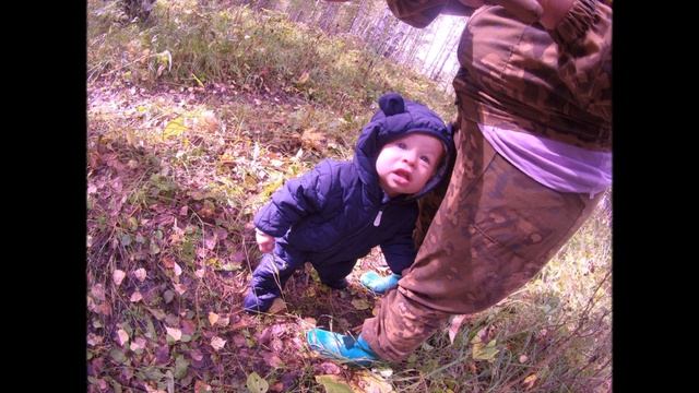 ОХОТА НА ГРИБЫ смотреть онлайн