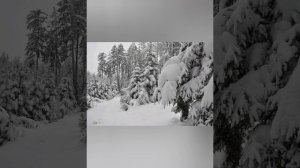 Иван Бунин  -  Крещенская ночь: Музыкальная поэзия