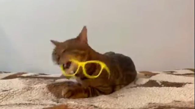 Валерий Полосатиков 🤣🤣🤣🤣