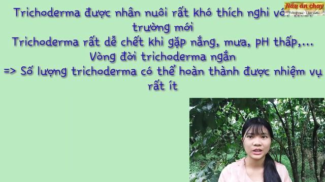 Phần 2: Trichoderma có thực sự tốt như lời đồn | Nấu ăn chay trồng rau làm vườn смотреть онлайн