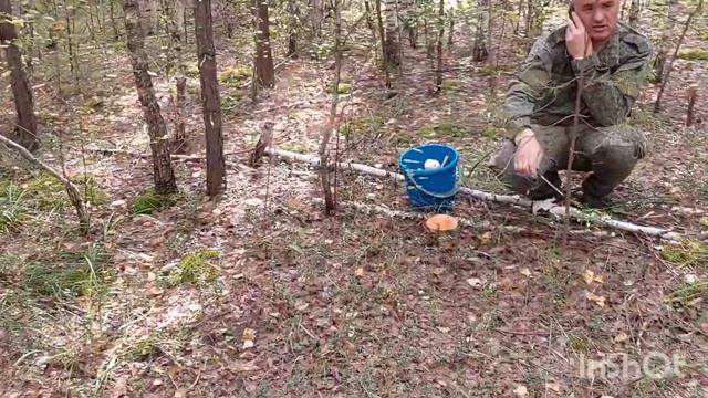 Влог.Семейный выходной. Пойдем за грибами? Пойдем... смотреть онлайн