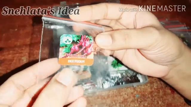 45 variety of vegetables seeds UNBOXING ORGANIC VEGETABLES SEEDS (Amazon) смотреть онлайн