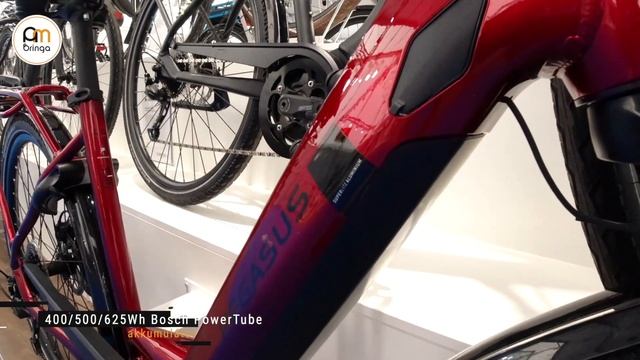 Pegasus Solero Evo 9 (2021) [trekking pedelec] - Ambringa Ebike Videók