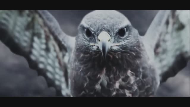 - Табынская крепость и тептярские поселения...