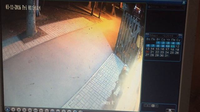 11.03.2016 в 01:54 в Чистякоской роще