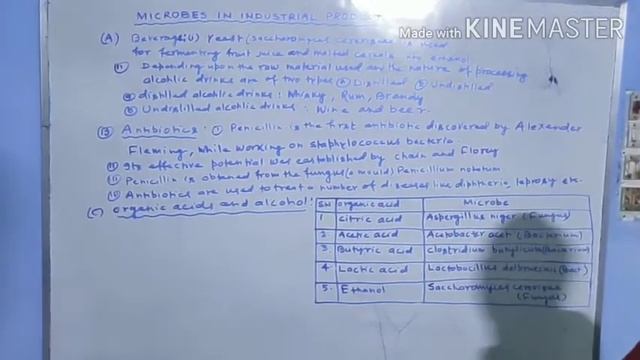 Role of microbes in house hold and Industrial prodoct смотреть онлайн