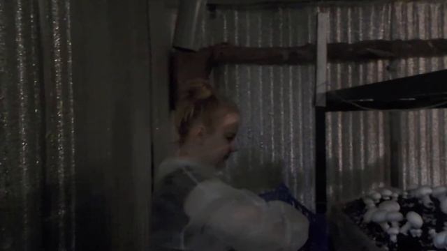 DSCN29551 смотреть онлайн