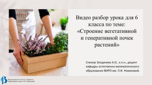 13. Строение вегетативной и генеративной почек растений