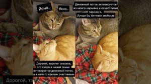 Классный мем: жена и тарологи