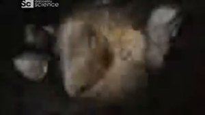 Космические столкновения  Солнечная система