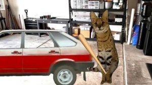 Переезд/Шлёпа переехал?/1.часть (сериал про шлёпу)