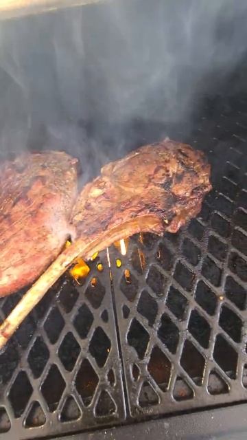 Beef Tri Tip & Tomahawk Ribeye Steak getting Seared over the open flame on the Pit Boss Pro Series смотреть онлайн