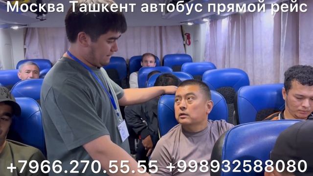 #москва #ташкент #автобус #россия #узбекистан #автобус #санктпетербург #ташкент #автобус #2024