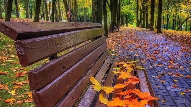 Самая красивая песня