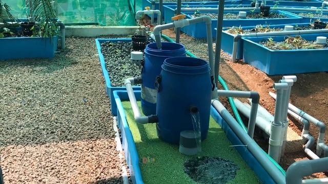 ഒരു ടീച്ചറിന്റെ മീൻ കൃഷി വിജയഗാഥ ; Fish farm ; Inspiring life of a school teacher#fishfarming смотреть онлайн