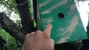 Скоро взяток кончится, а рои всё летают))