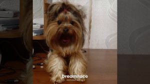 АРТ (Kids Version)