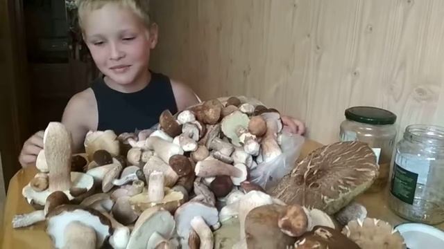 ГРИБЫ ГРИБОЧКИ БОРОВИЧКИ