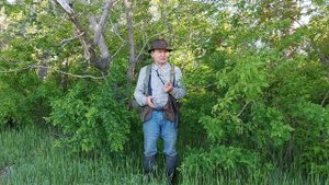 Удержание легавой собаки от гоньбы птицы -  Урок 2