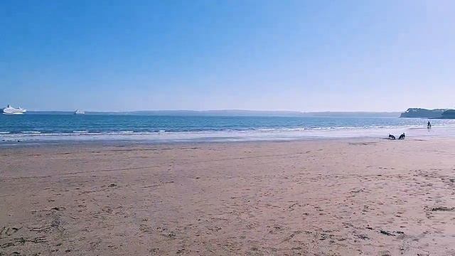 Мечтай, твори, люби, лети... 🕊#поэзия #творчество #душа #стихисосмыслом #душевныестихи #смыслжизни смотреть онлайн